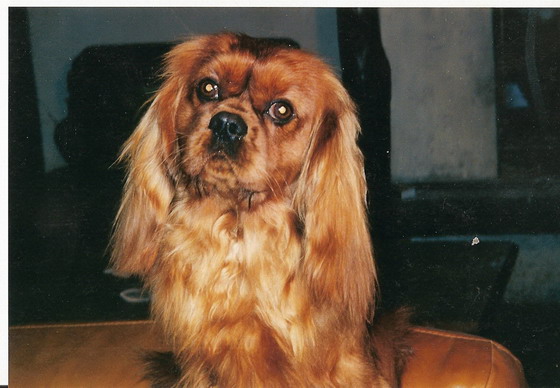 Remember the time de l'Angelarde