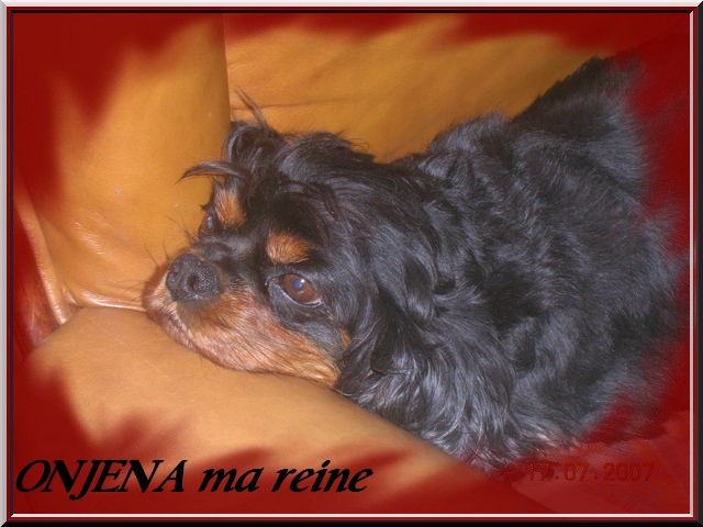 Onjena de l'Angelarde