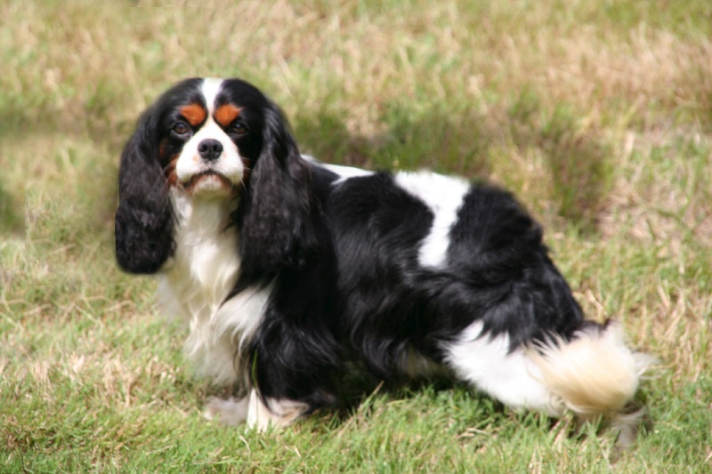 Escapade de l'Angelarde