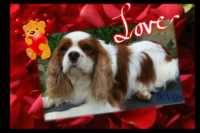 Devon de l'Angelarde