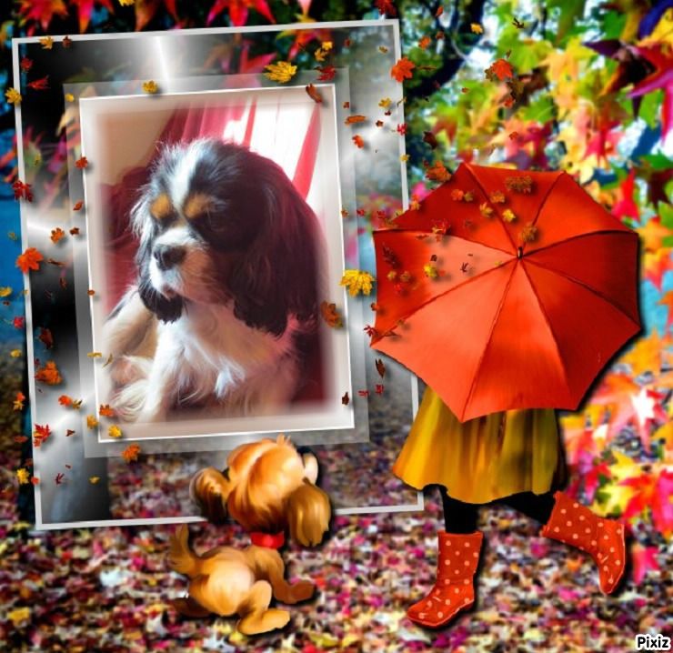 Innamoramento de l'Angelarde