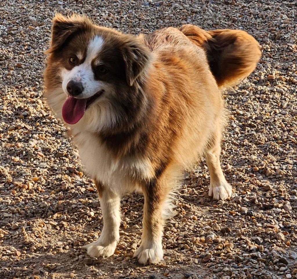 Tallulah de l'Angelarde
